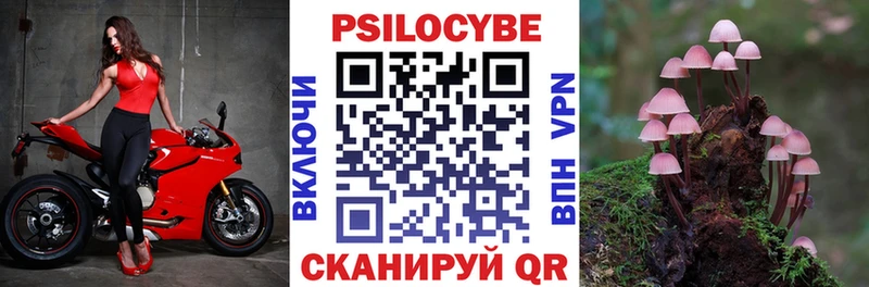 где найти наркотики  Чердынь  Псилоцибиновые грибы мухоморы 